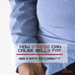 stress and belly fat